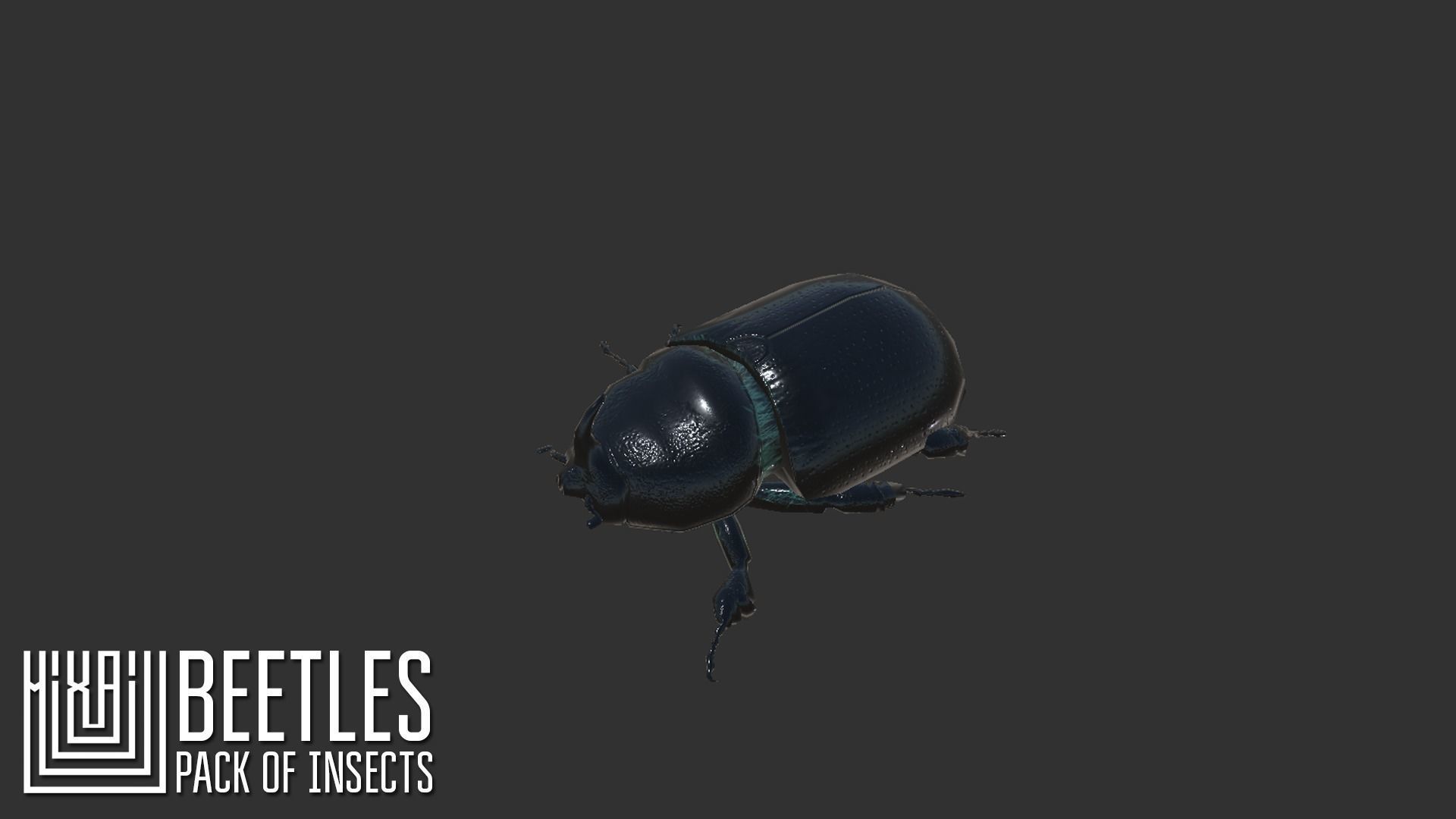Beetles - pack of insects Low-poly 3D model_7