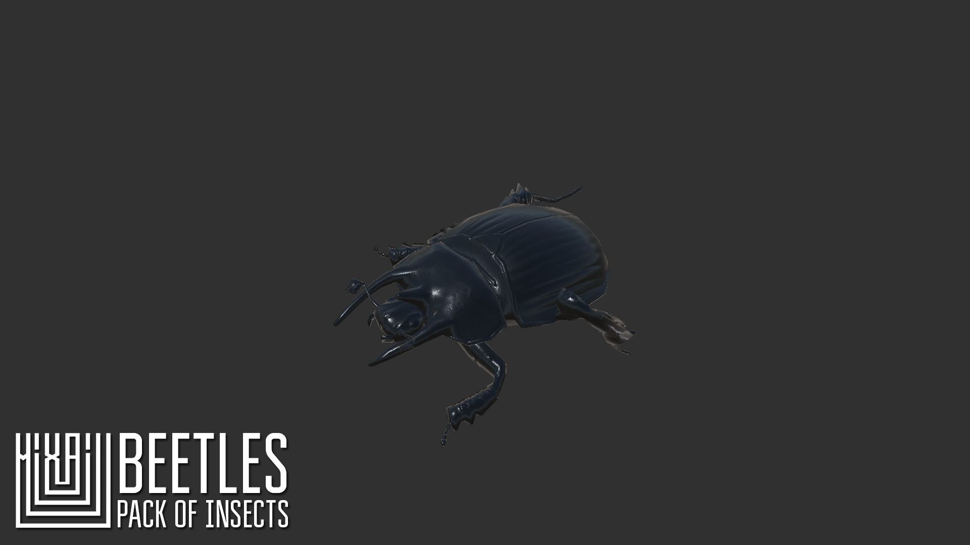 Beetles - pack of insects Low-poly 3D model_3