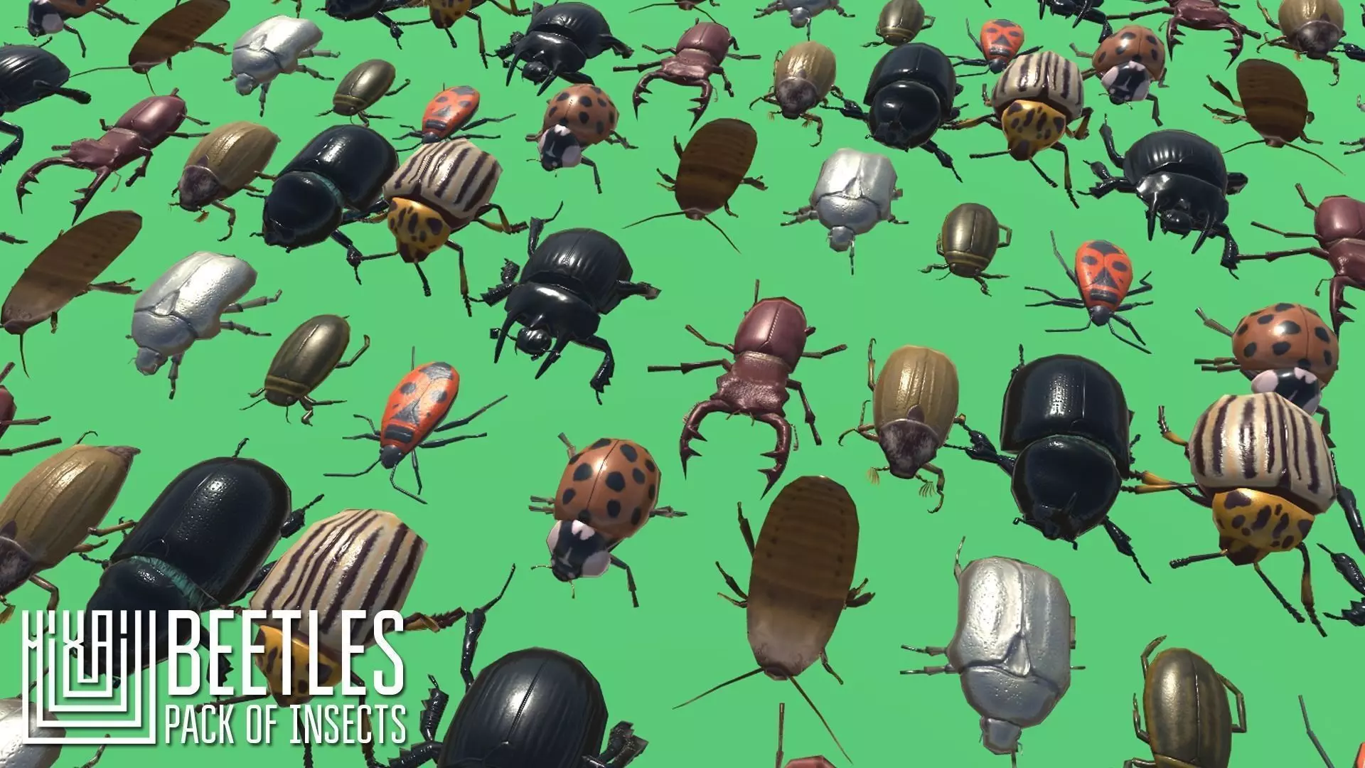 Beetles - pack of insects Low-poly 3D model_0