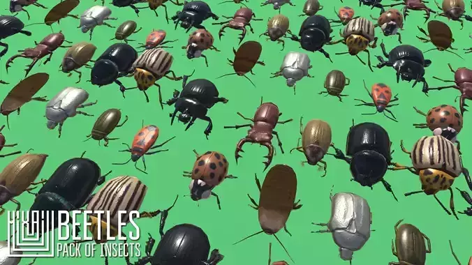 Beetles - pack of insects Low-poly 3D model