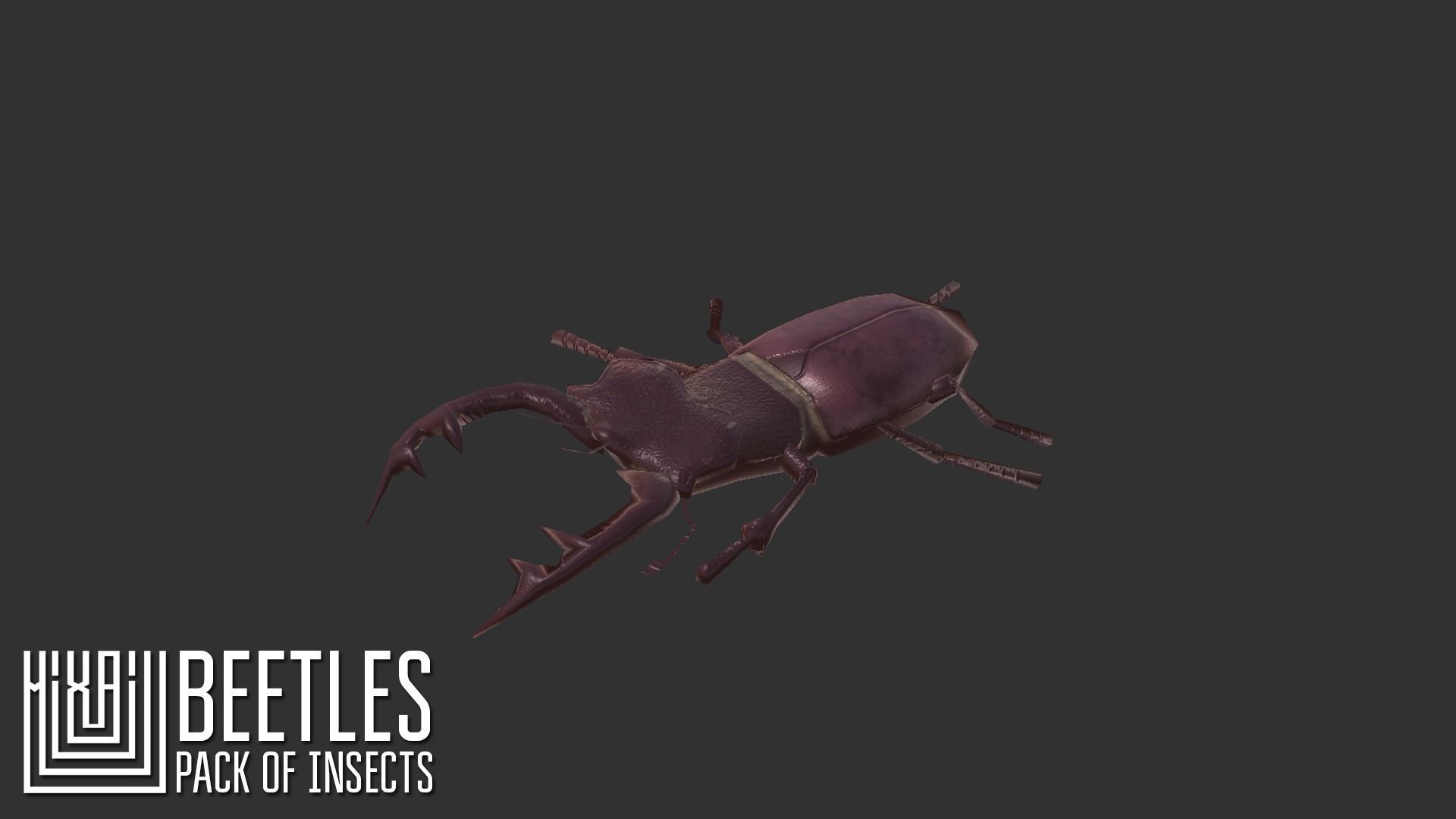 Beetles - pack of insects Low-poly 3D model_11