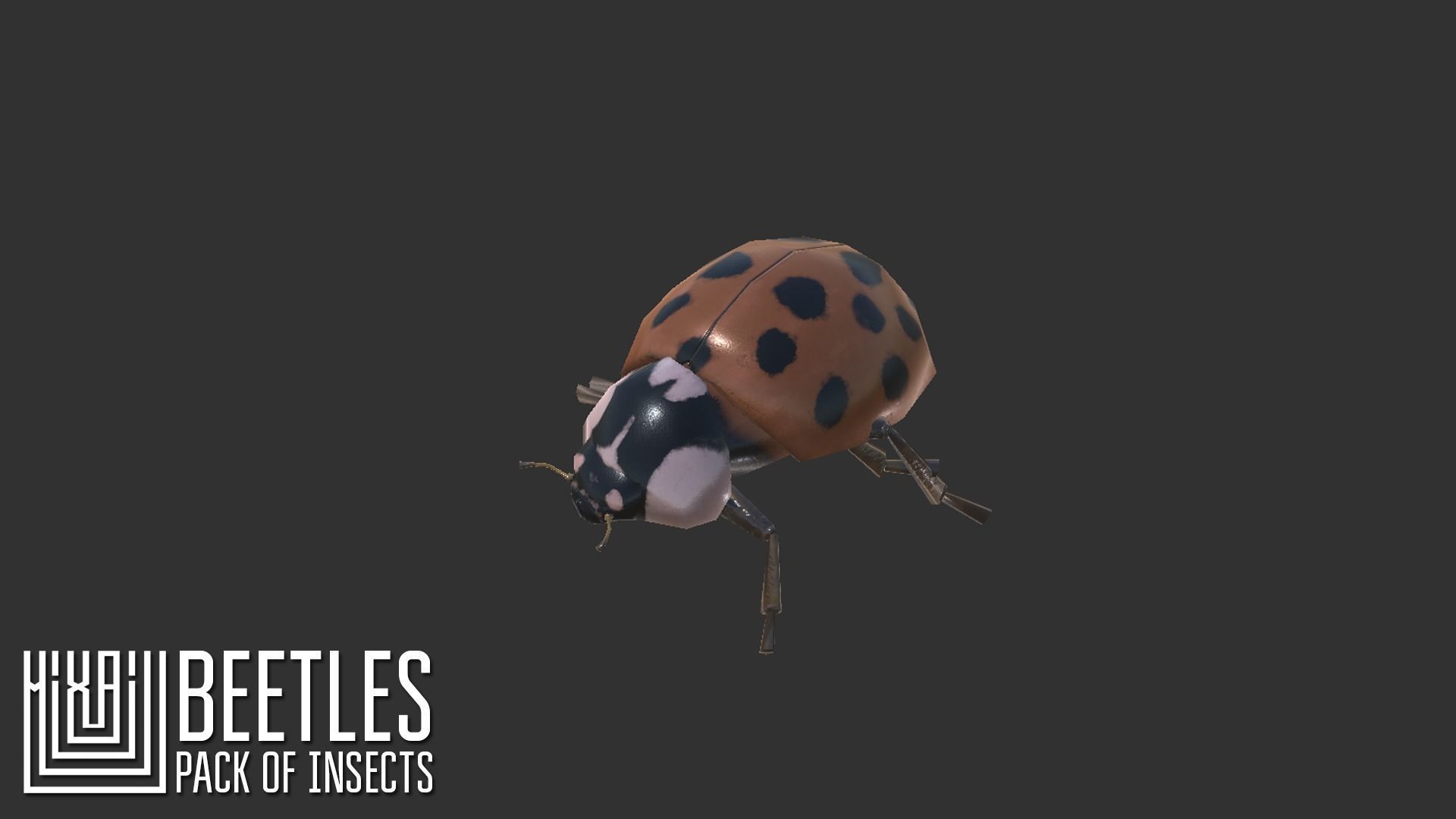 Beetles - pack of insects Low-poly 3D model_8