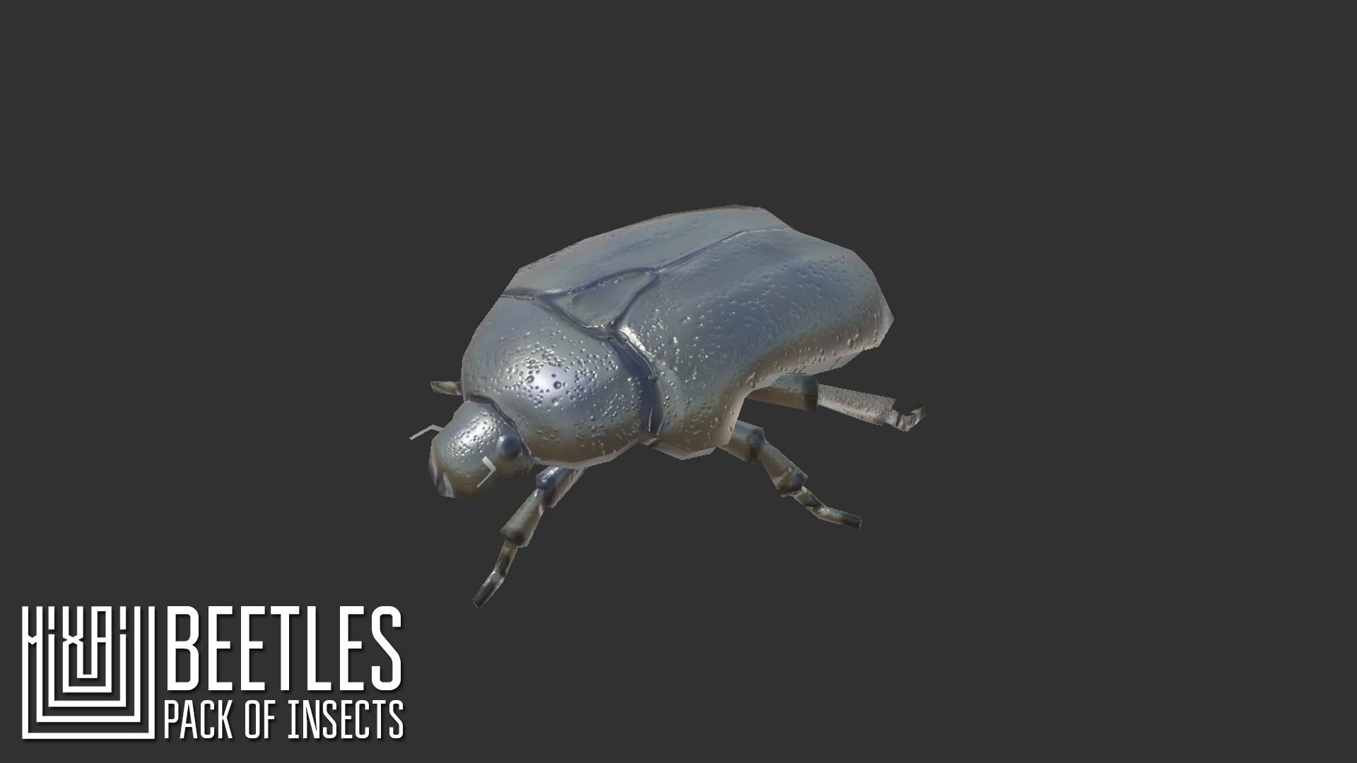 Beetles - pack of insects Low-poly 3D model_10