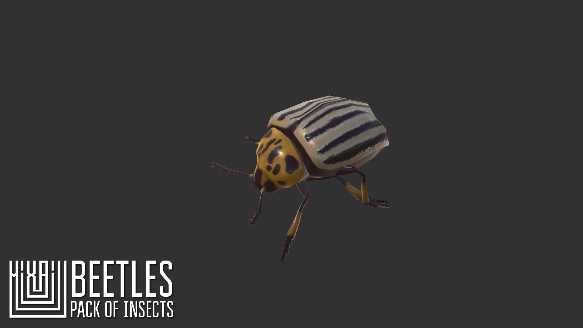 Beetles - pack of insects Low-poly 3D model_2