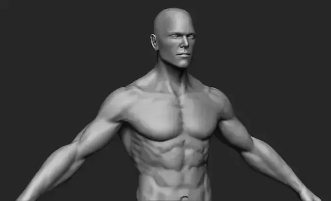 Human Man Anatomy  3D model