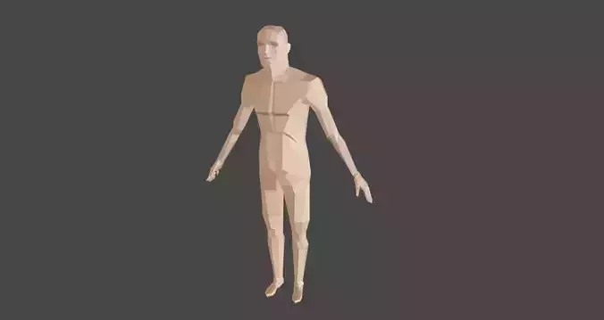 Lowpoly basic human rigged in blender Low-poly 3D model