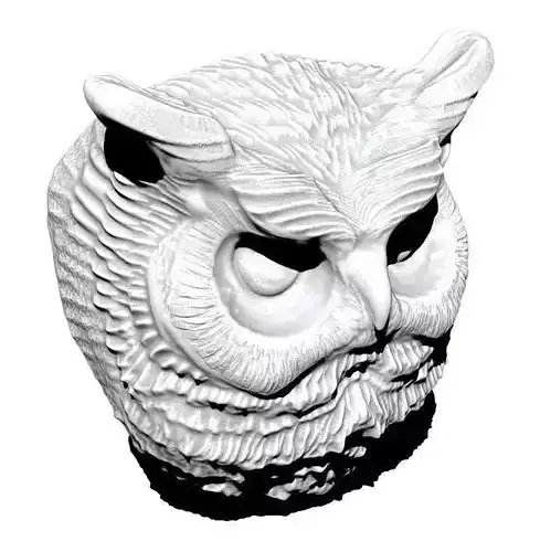 Owl detailed