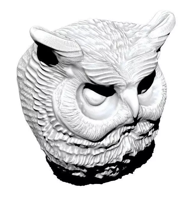 Owl detailed 3D print model_0