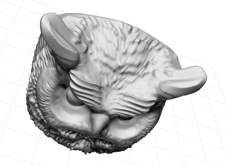 Owl detailed 3D print model_3