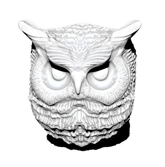 Owl detailed 3D print model_1