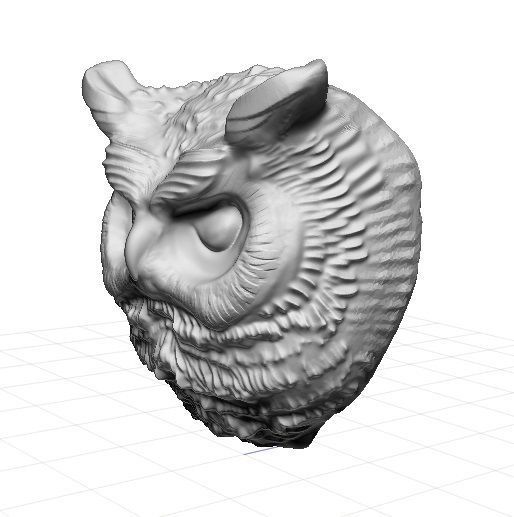 Owl detailed 3D print model_2