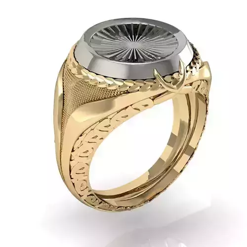 signet ring for men