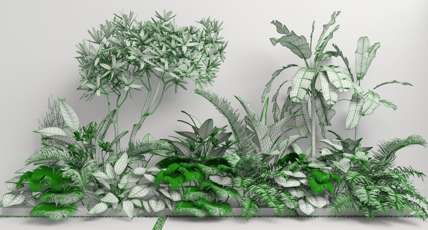 Tropic group of tropical plants 3D model_3