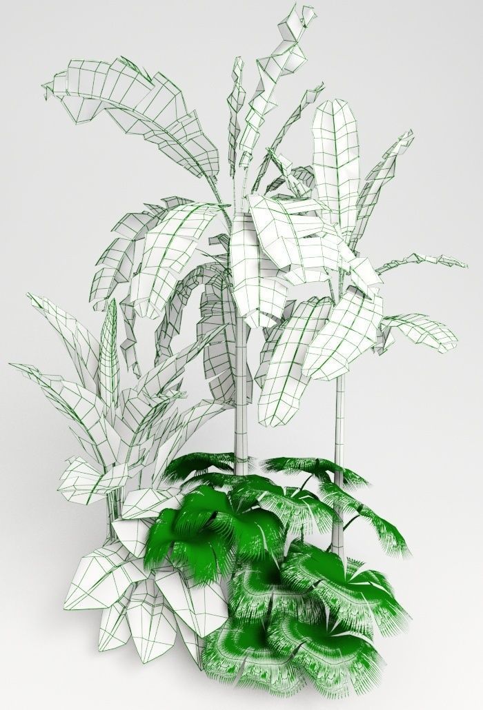 Tropic group of tropical plants 3D model_5