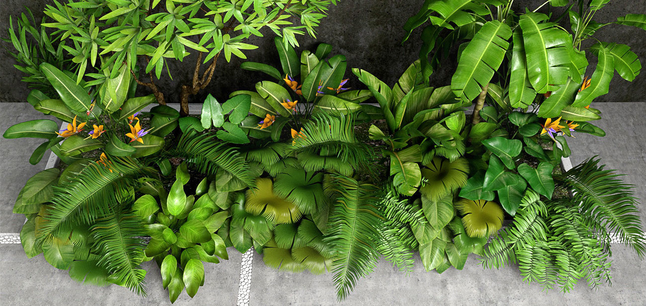 Tropic group of tropical plants 3D model_1