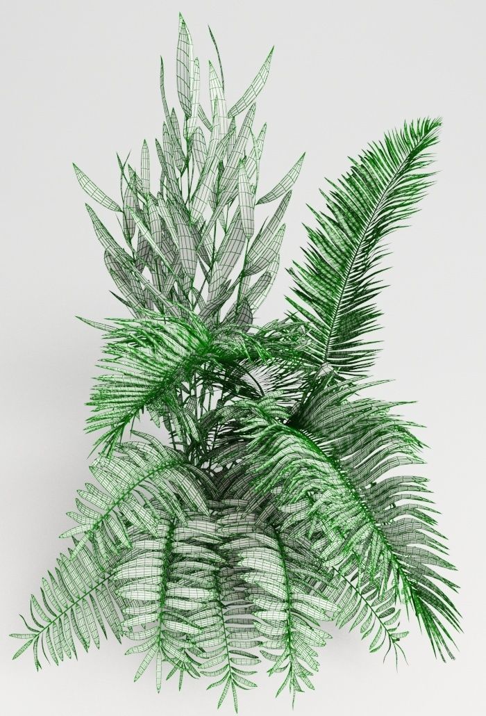 Tropic group of tropical plants 3D model_9