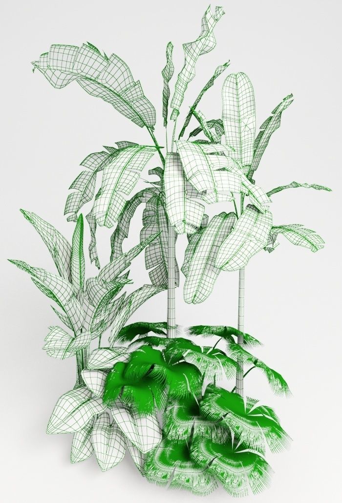 Tropic group of tropical plants 3D model_6