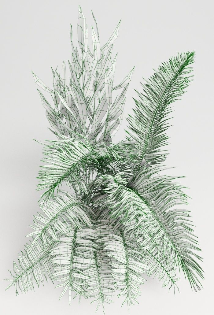 Tropic group of tropical plants 3D model_8