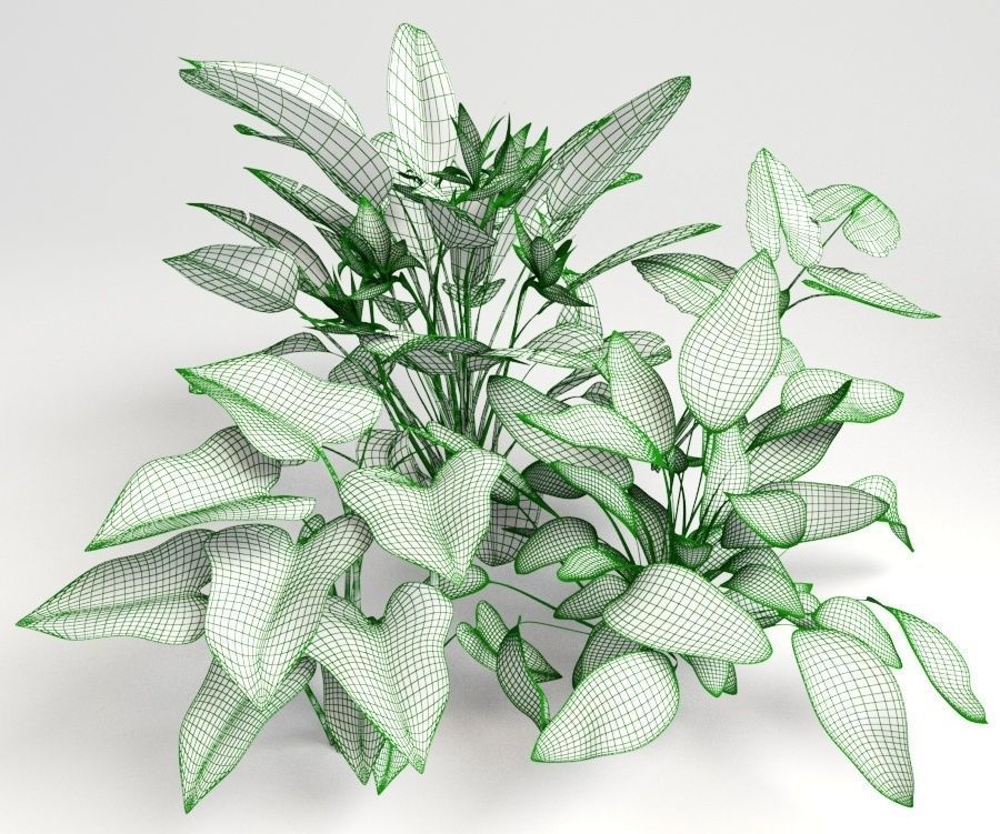 Tropic group of tropical plants 3D model_12