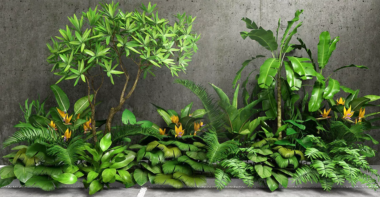 Tropic group of tropical plants 3D model_0