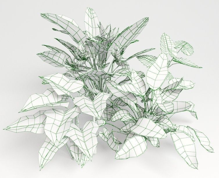 Tropic group of tropical plants 3D model_11