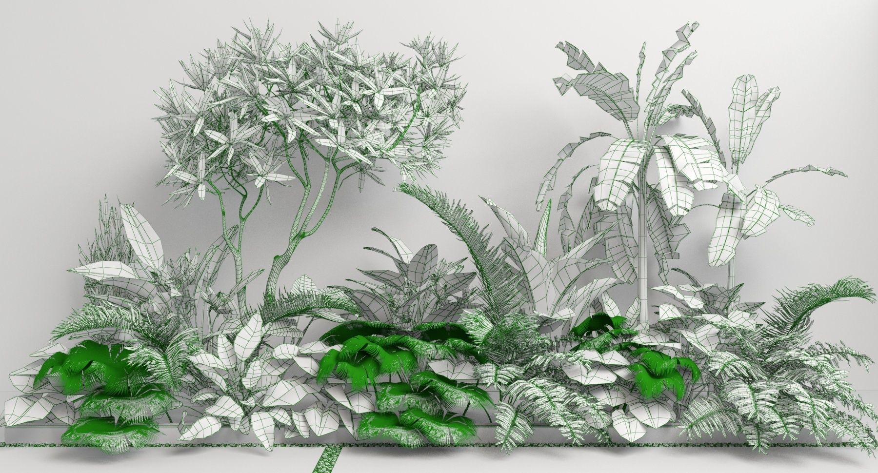 Tropic group of tropical plants 3D model_2