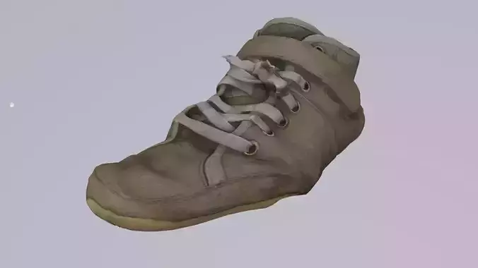 Scanned shoe