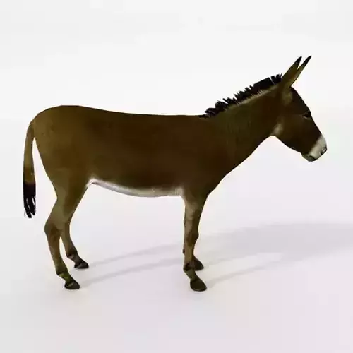 Brown Donkey Low-poly 3D model