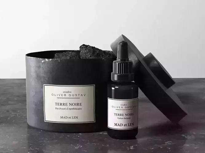 Terre Noire Soy Wax and Refill Bottle 3D model