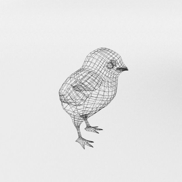 Black Little Chicken Low-poly 3D model_6