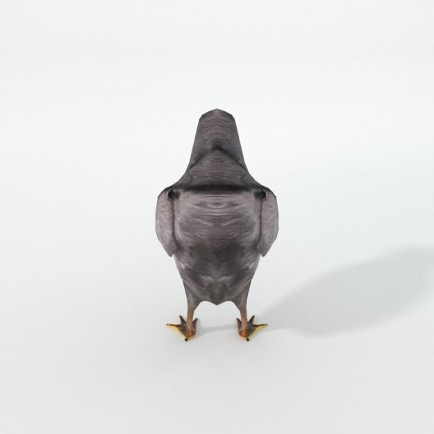 Black Little Chicken Low-poly 3D model_3