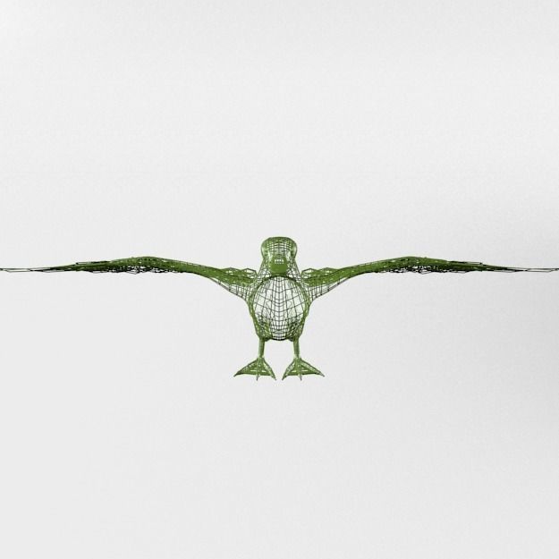 Black Duck Low-poly 3D model_5