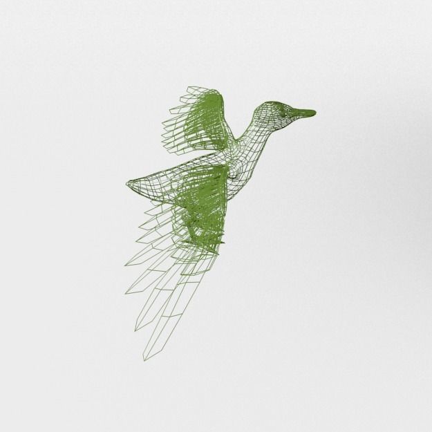 Black Duck Low-poly 3D model_7