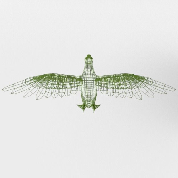 Black Duck Low-poly 3D model_6