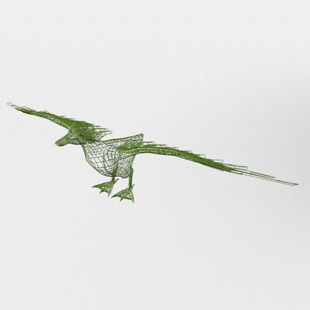 Black Duck Low-poly 3D model_4