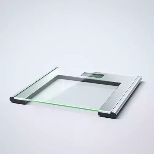 Bathroom scale