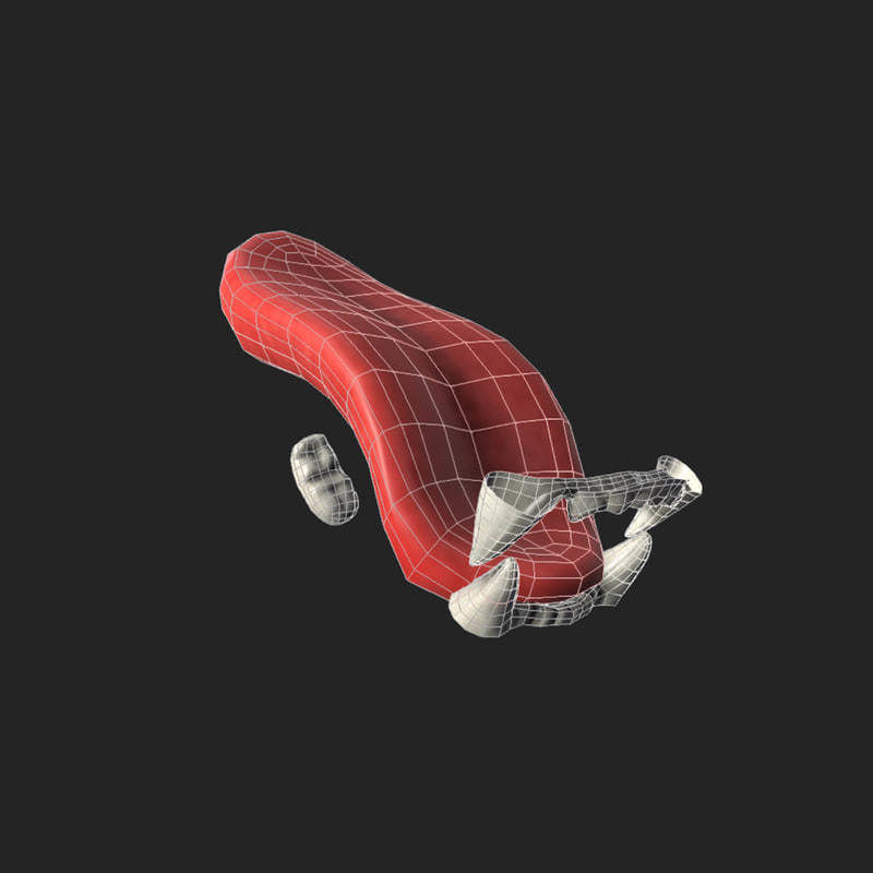 Tiger Cub Game Ready Low-poly 3D model_2