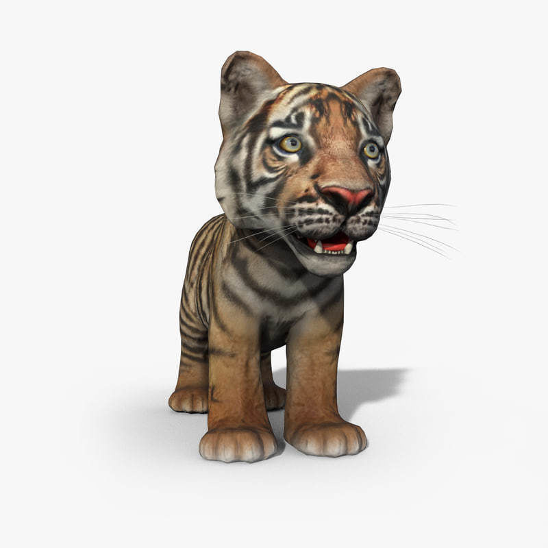 Tiger Cub Game Ready Low-poly 3D model_7