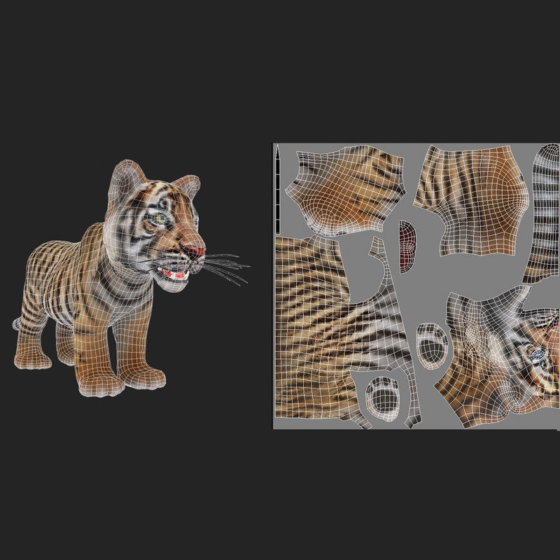 Tiger Cub Game Ready Low-poly 3D model_4
