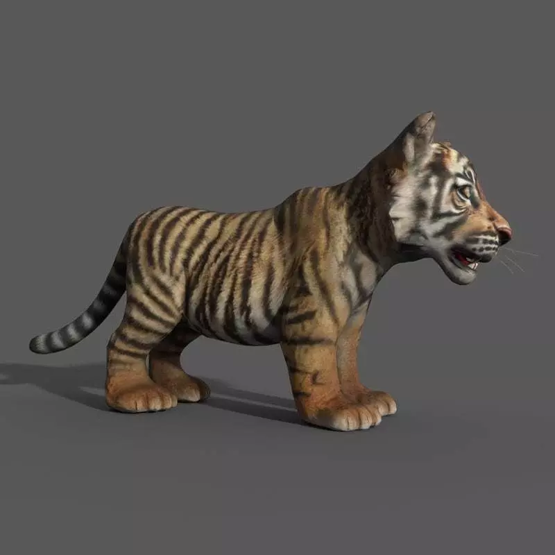 Tiger Cub Game Ready Low-poly 3D model_0