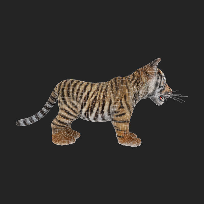 Tiger Cub Game Ready Low-poly 3D model_6