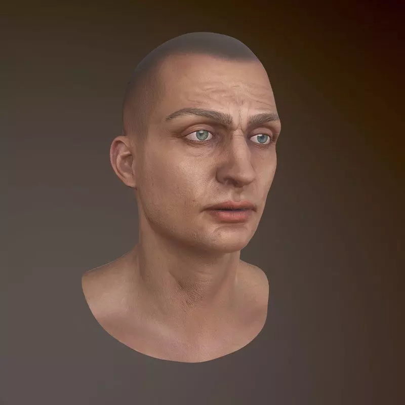 Character Head Low-poly 3D model_0