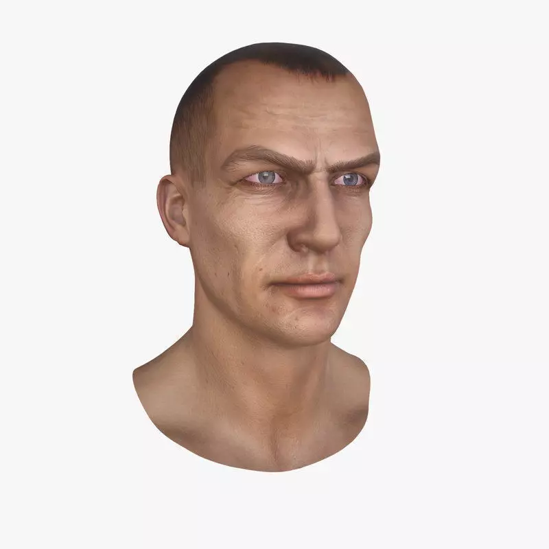 Male Head Low-poly 3D model_0