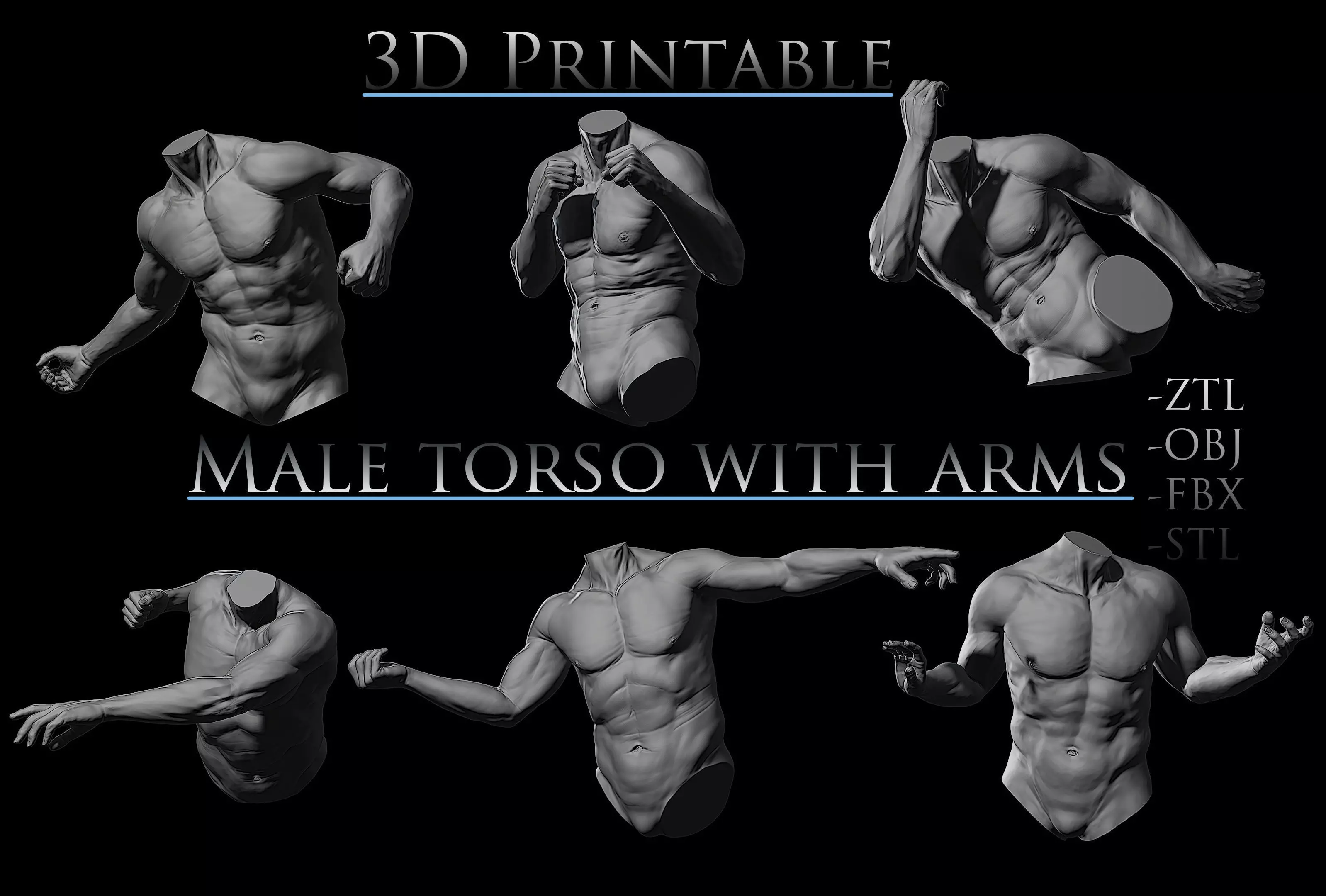 3D Printable Male Torso with Arms 3D model