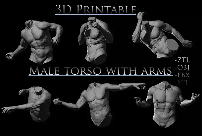 3D Printable Male Torso with Arms