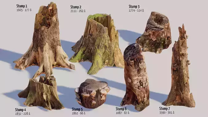 17 Photo-scanned Conifer Stumps Low-poly 3D model