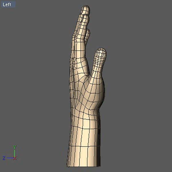 Hand model mannequin 3D model_4
