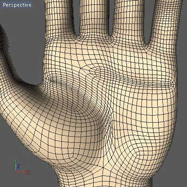 Hand model mannequin 3D model_10