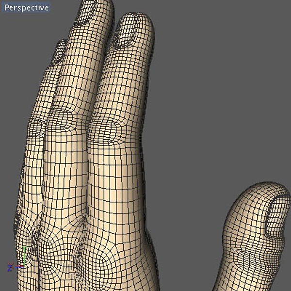 Hand model mannequin 3D model_9