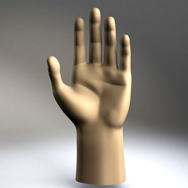 Hand model mannequin 3D model_1
